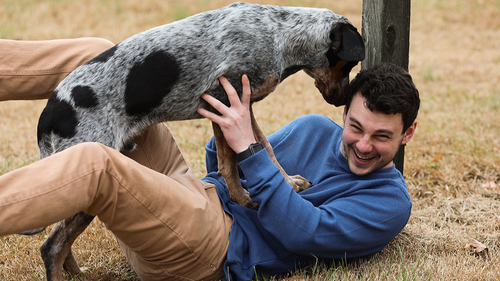 Photo of dog and person playing