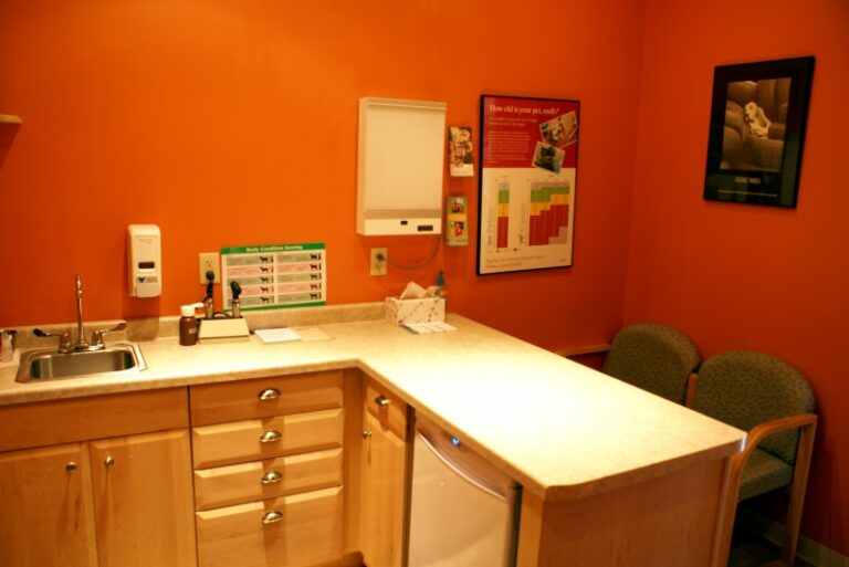 The French's Homestead Veterinary Care Exam Room in Rhinelander, WI