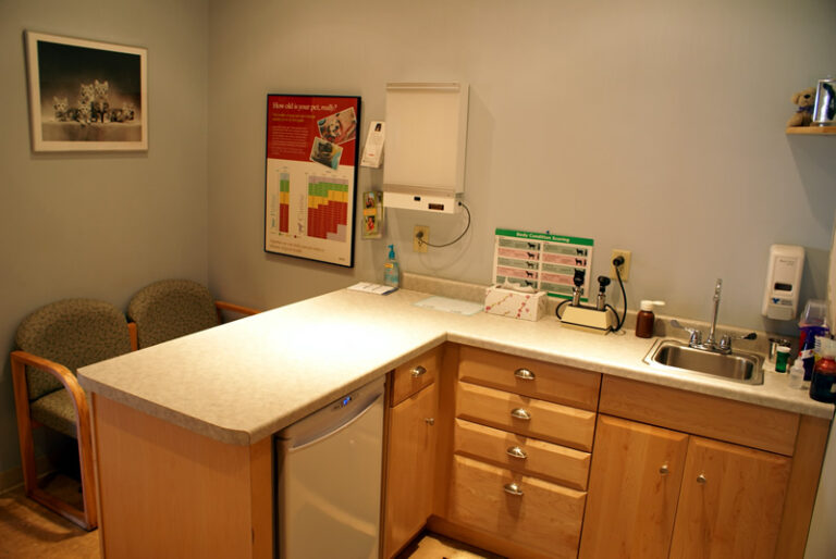 The Homestead Veterinary Care Exam Room